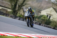 Oulton-Park-21st-March-2020;PJ-Motorsport-Photography-2020;anglesey;brands-hatch;cadwell-park;croft;donington-park;enduro-digital-images;event-digital-images;eventdigitalimages;mallory;no-limits;oulton-park;peter-wileman-photography;racing-digital-images;silverstone;snetterton;trackday-digital-images;trackday-photos;vmcc-banbury-run;welsh-2-day-enduro